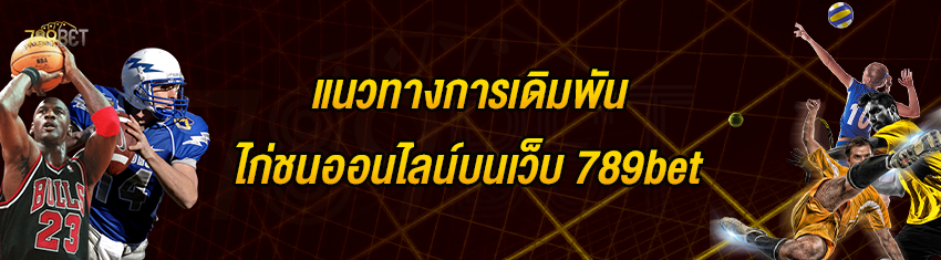 แนวทางการเดิมพันไก่ชนออนไลน์บนเว็บ 789bet